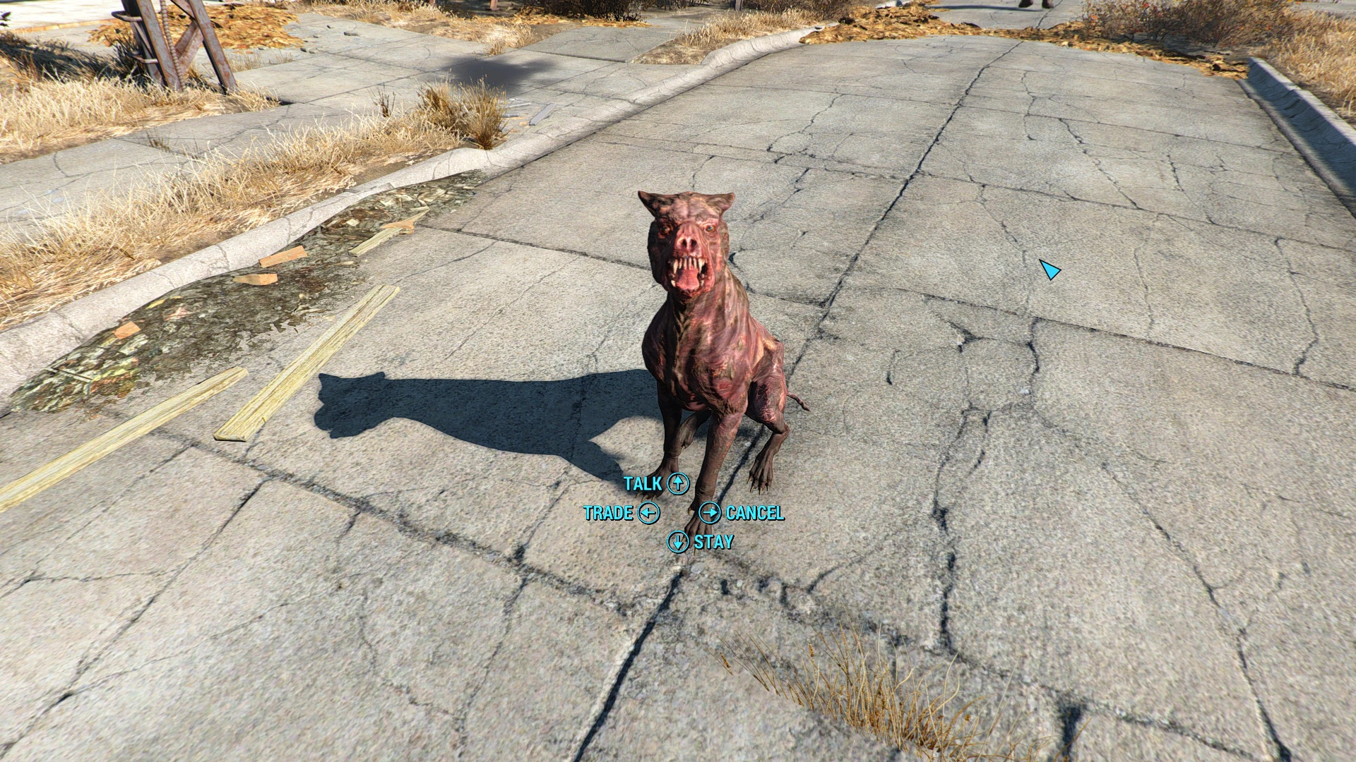 Fallout 4 будка для собаки фото 84