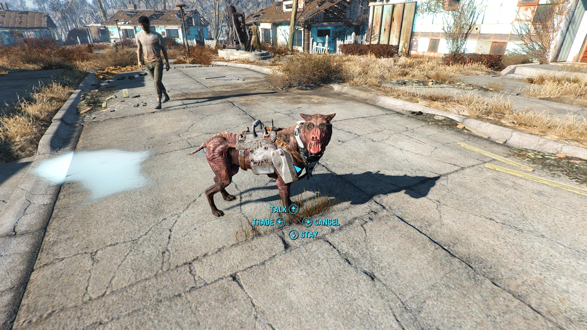 Fallout 4 dogmeat no фото 80