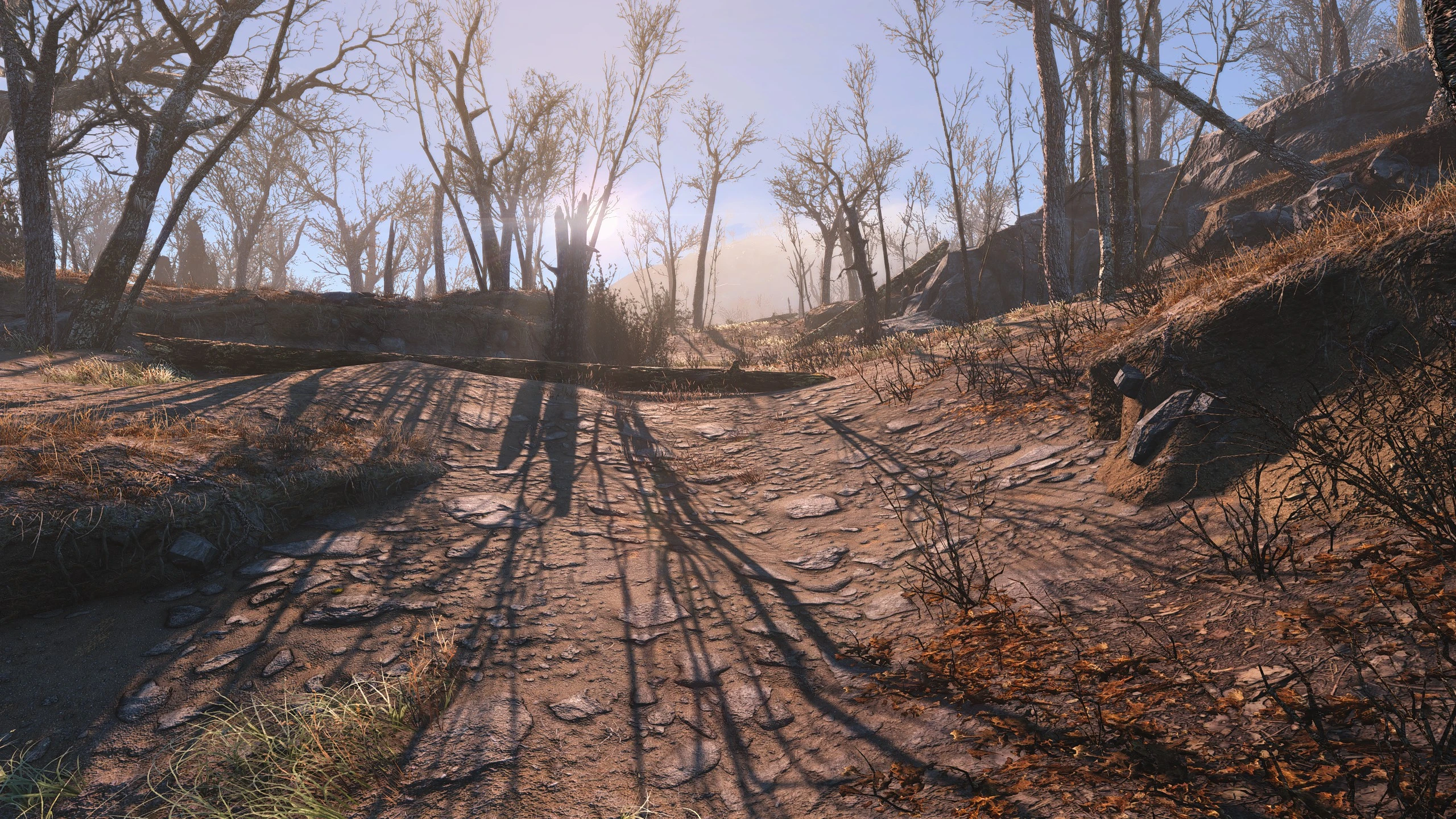 Fallout 4 natural landscapes 2k 4k фото 5