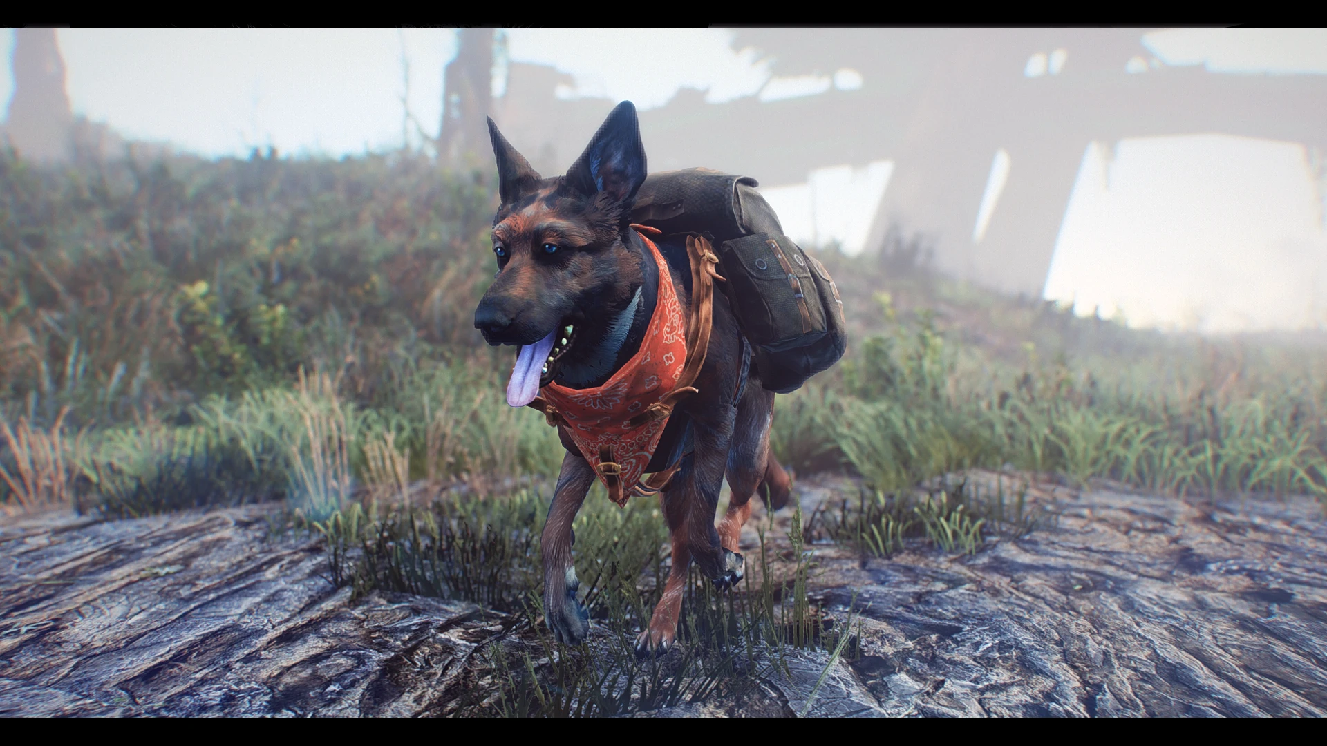 Dogmeat Retextured - Rusty at Fallout 4 Nexus - Mods and community