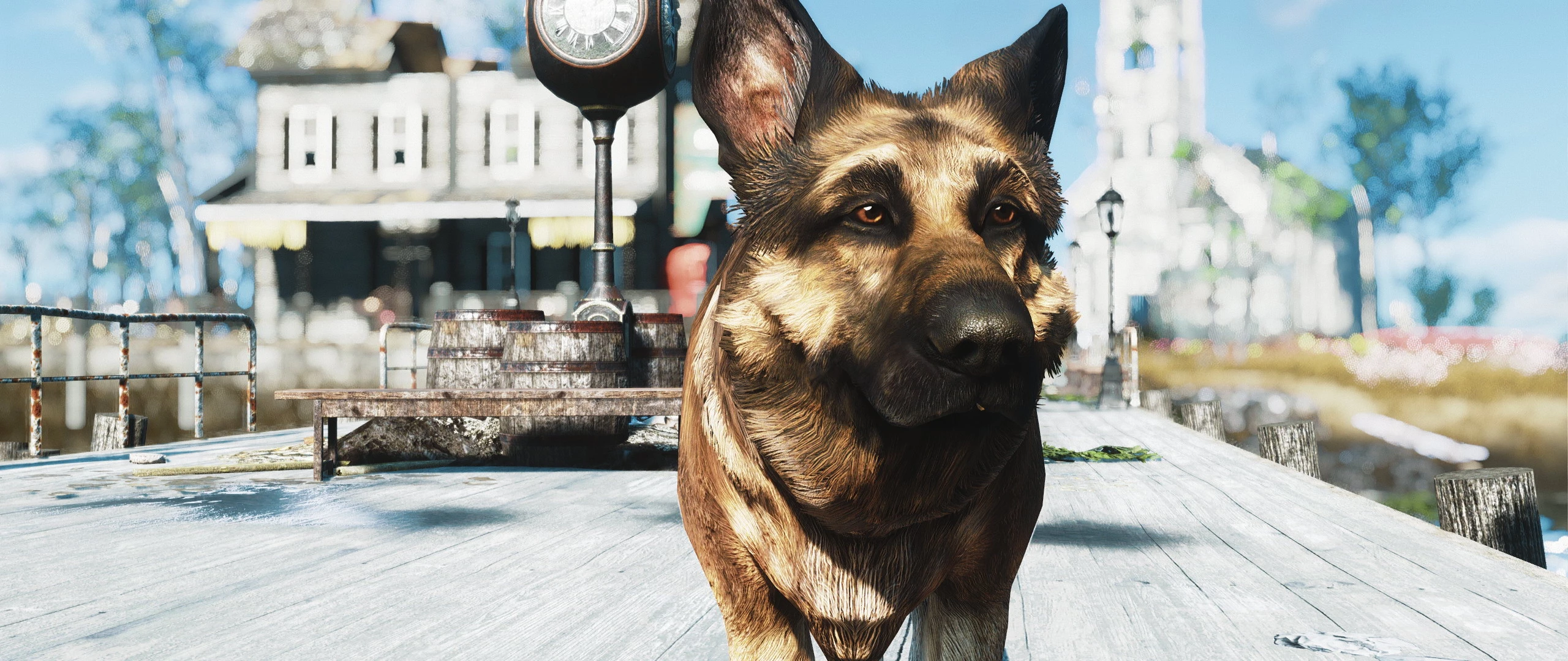 Fallout 4 4k dogmeat фото 6