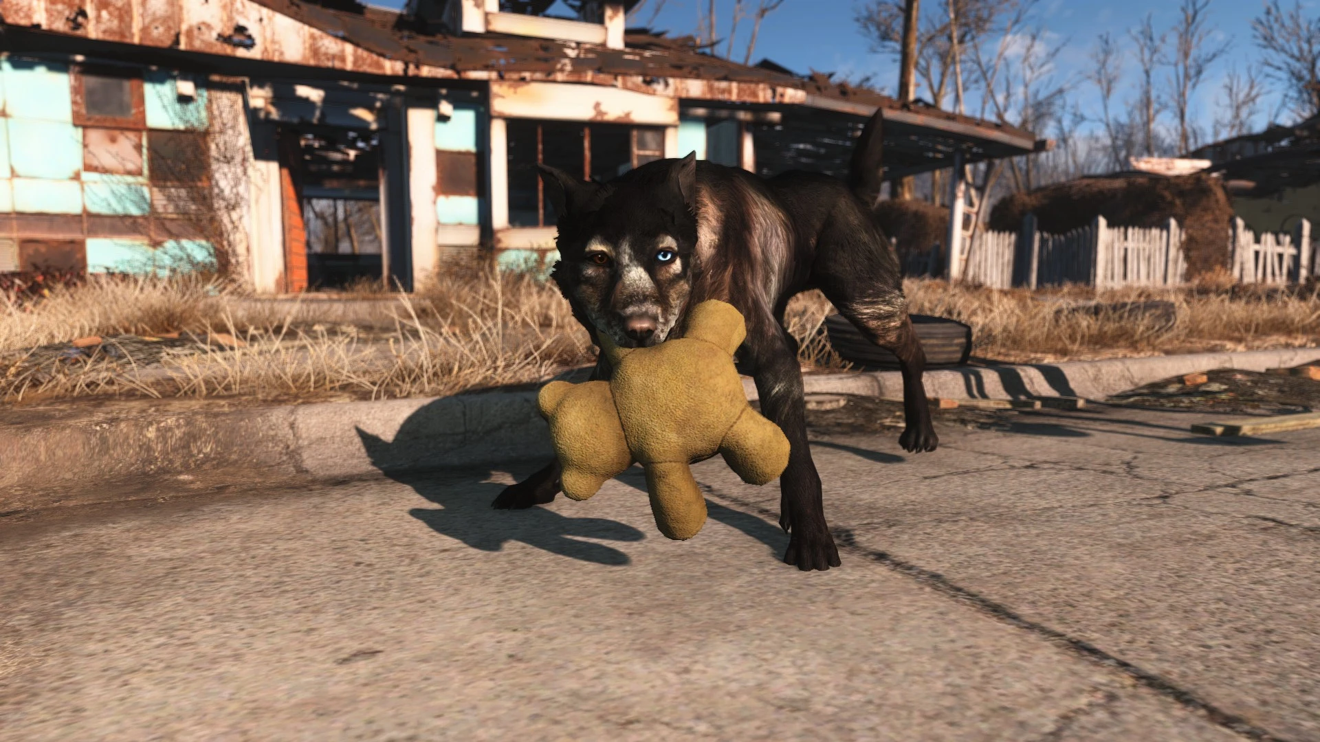 Fallout 4 как оставить пса фото 35