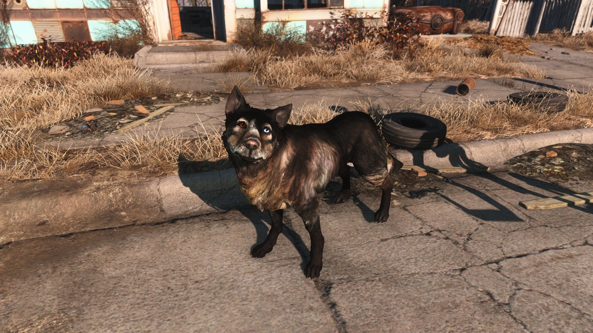 Classic Dogmeat at Fallout 4 Nexus - Mods and community