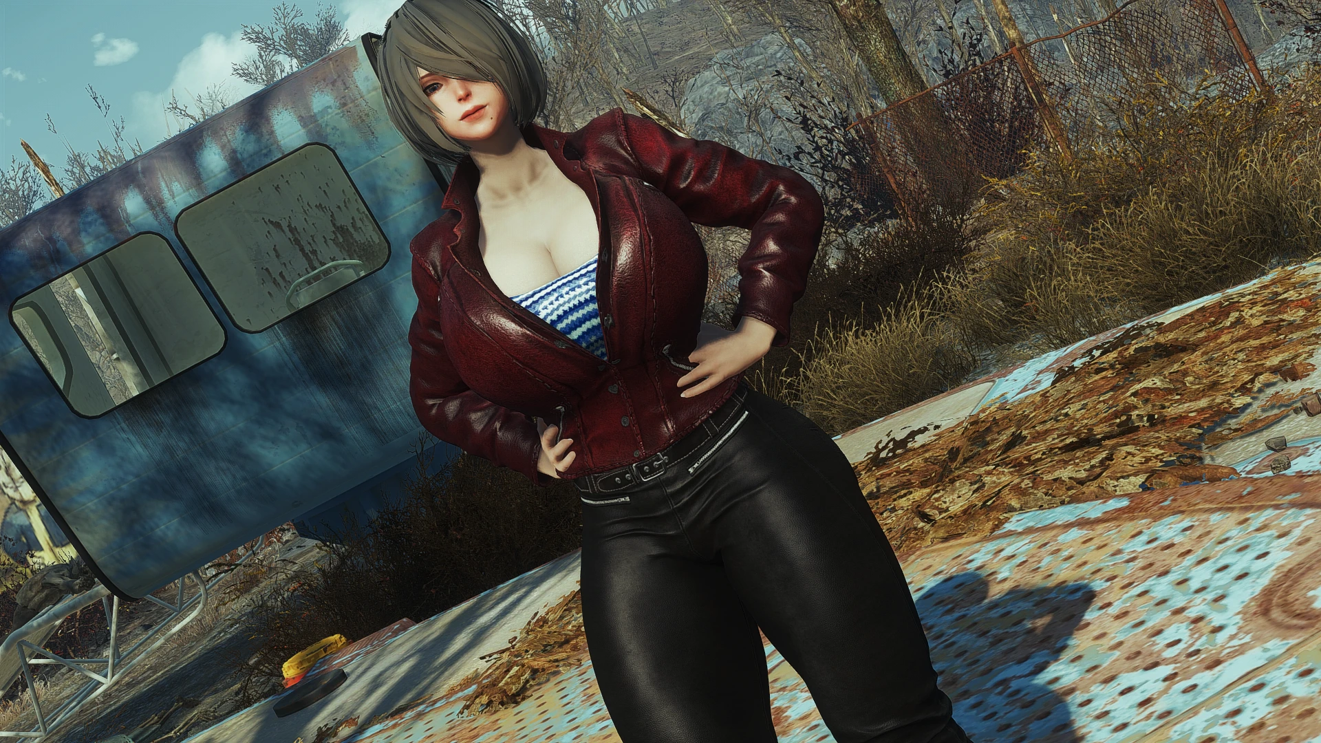 Vtaw Wardrobe 1 Atomic Beauty CBP at Fallout 4 Nexus Mods and