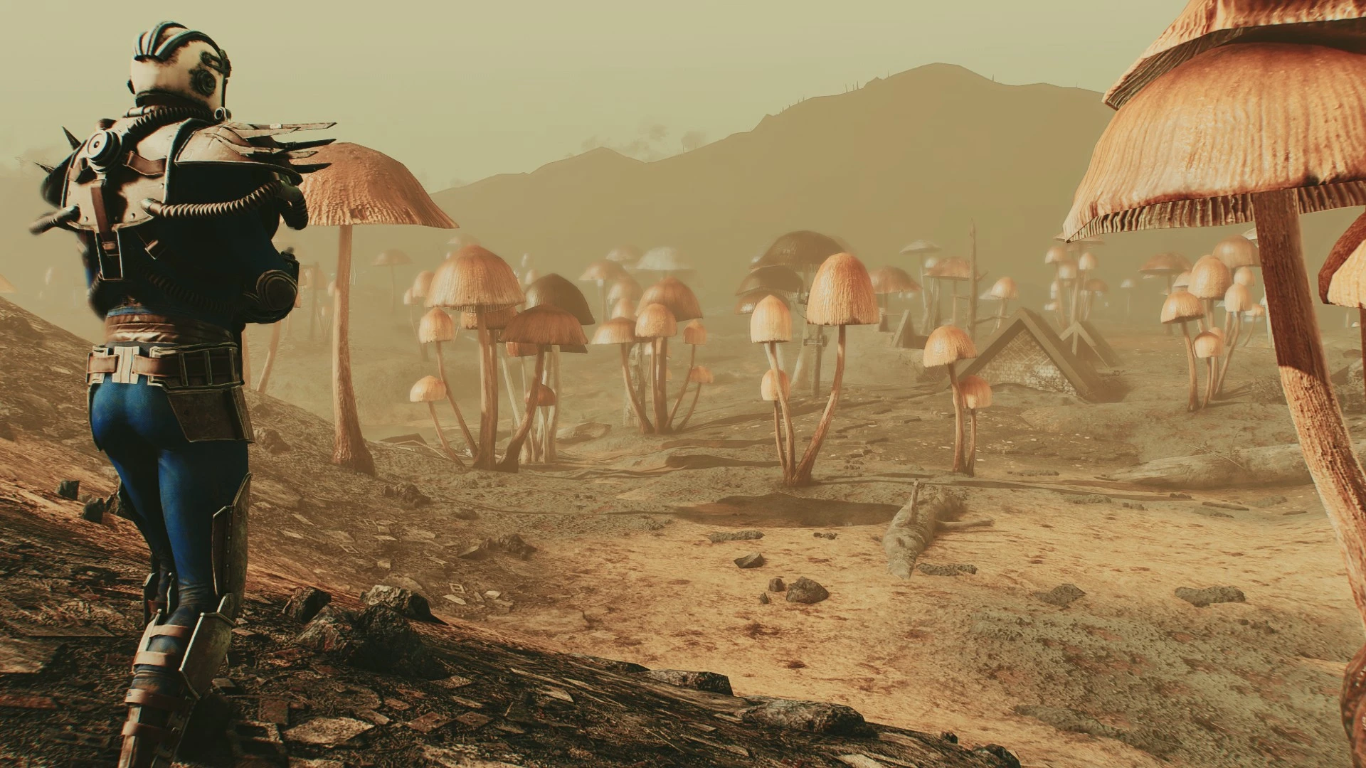 Fallout 4 светящийся гриб фото 19