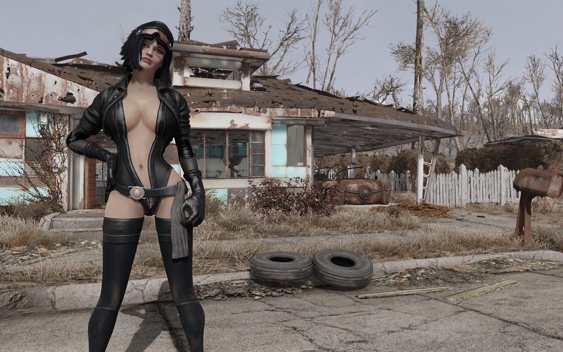 Nexusmods manager fallout 4 фото 10