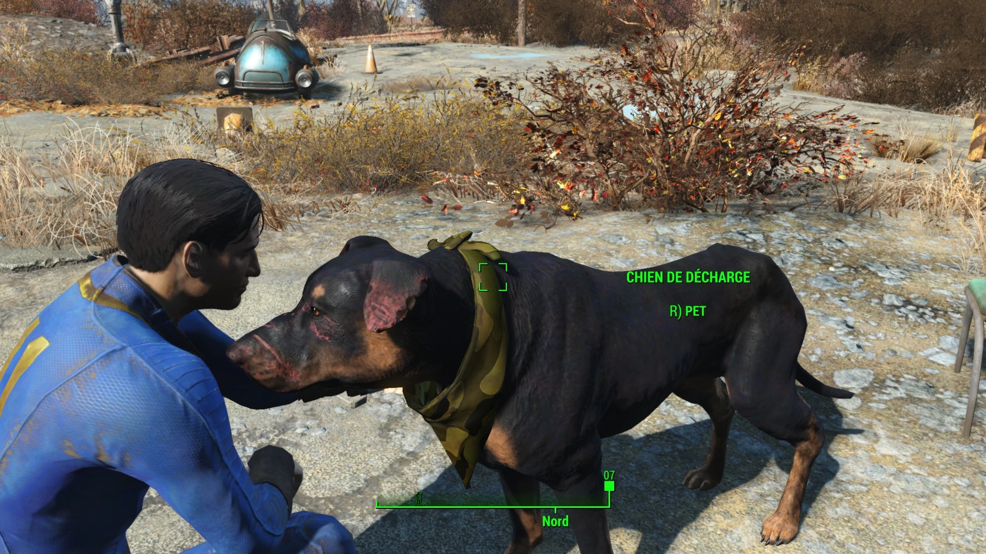 Fallout 4 дворовая собака фото 1