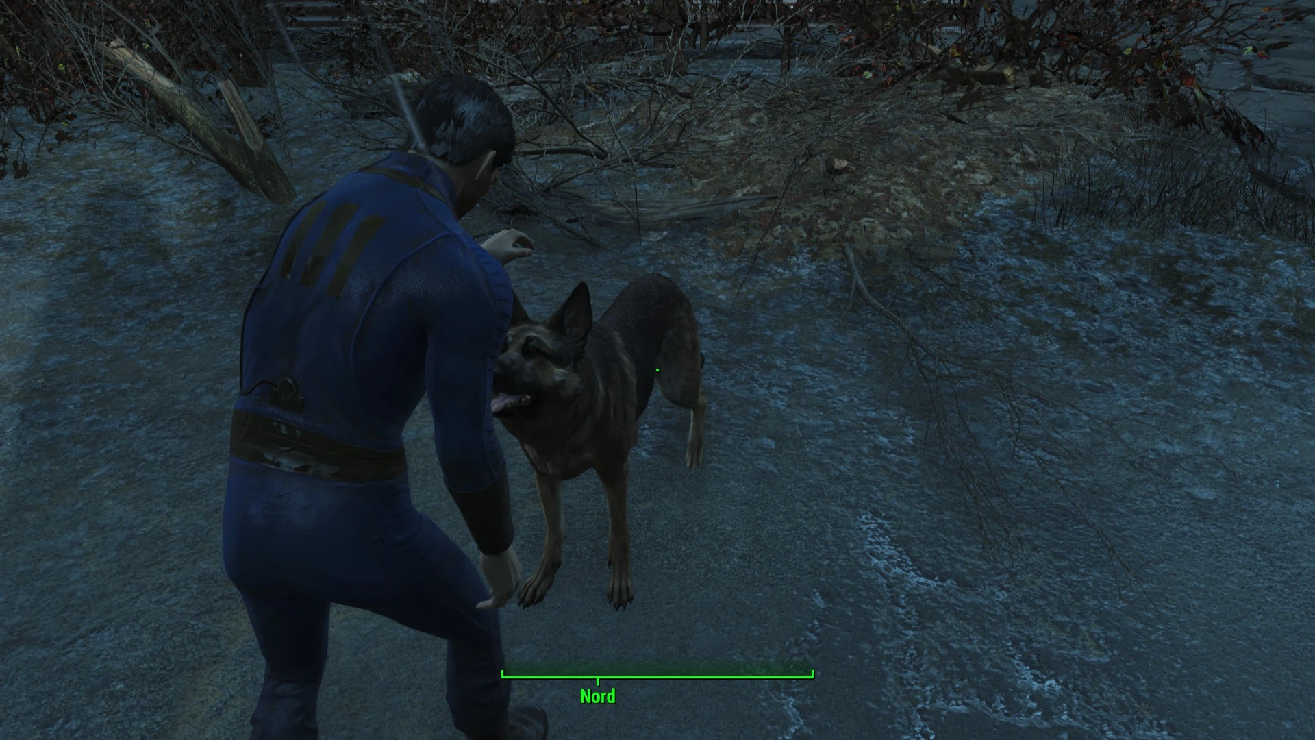 Fallout 4 raider pet v1 4 фото 26