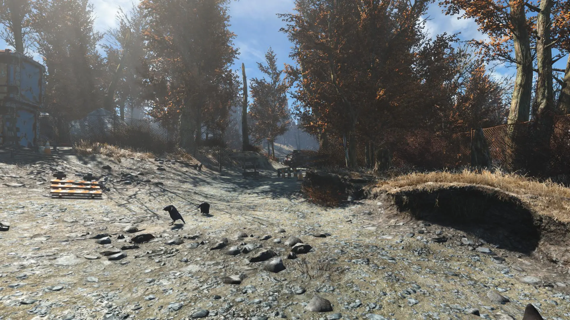 Trees Redux at Fallout 4 Nexus - Mods and community