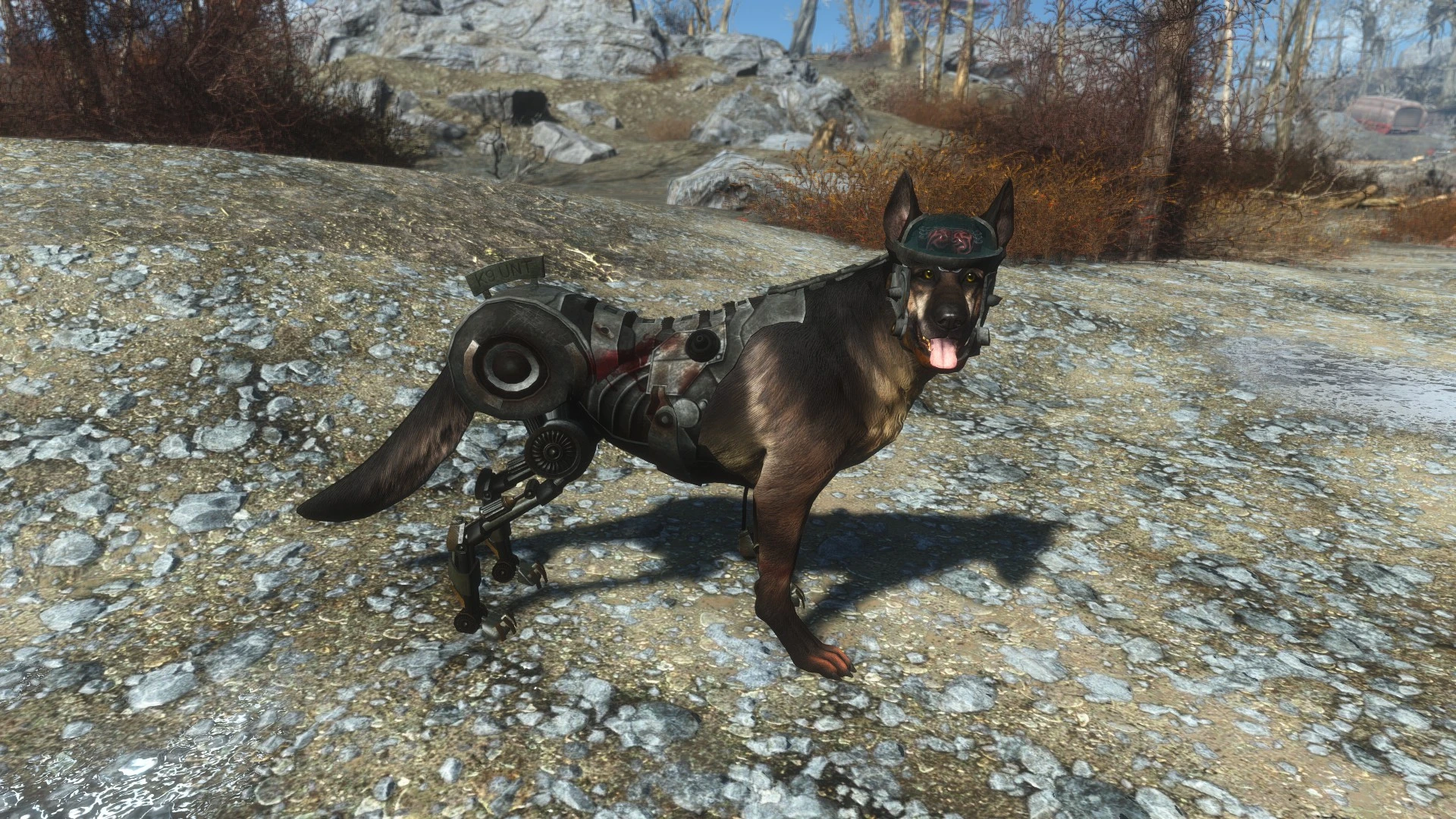 Fallout 4 спарки собака фото 75