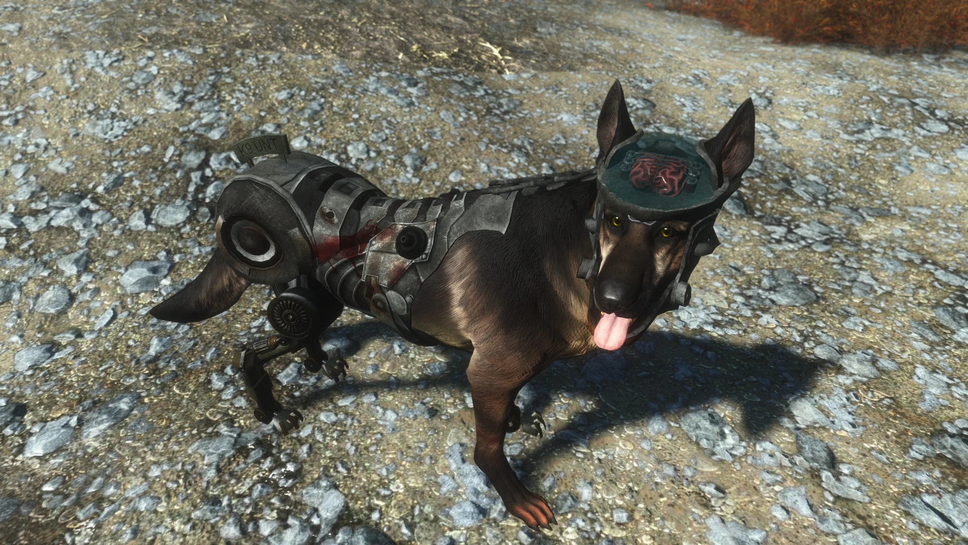 Fallout 4 боевой пес фото 77