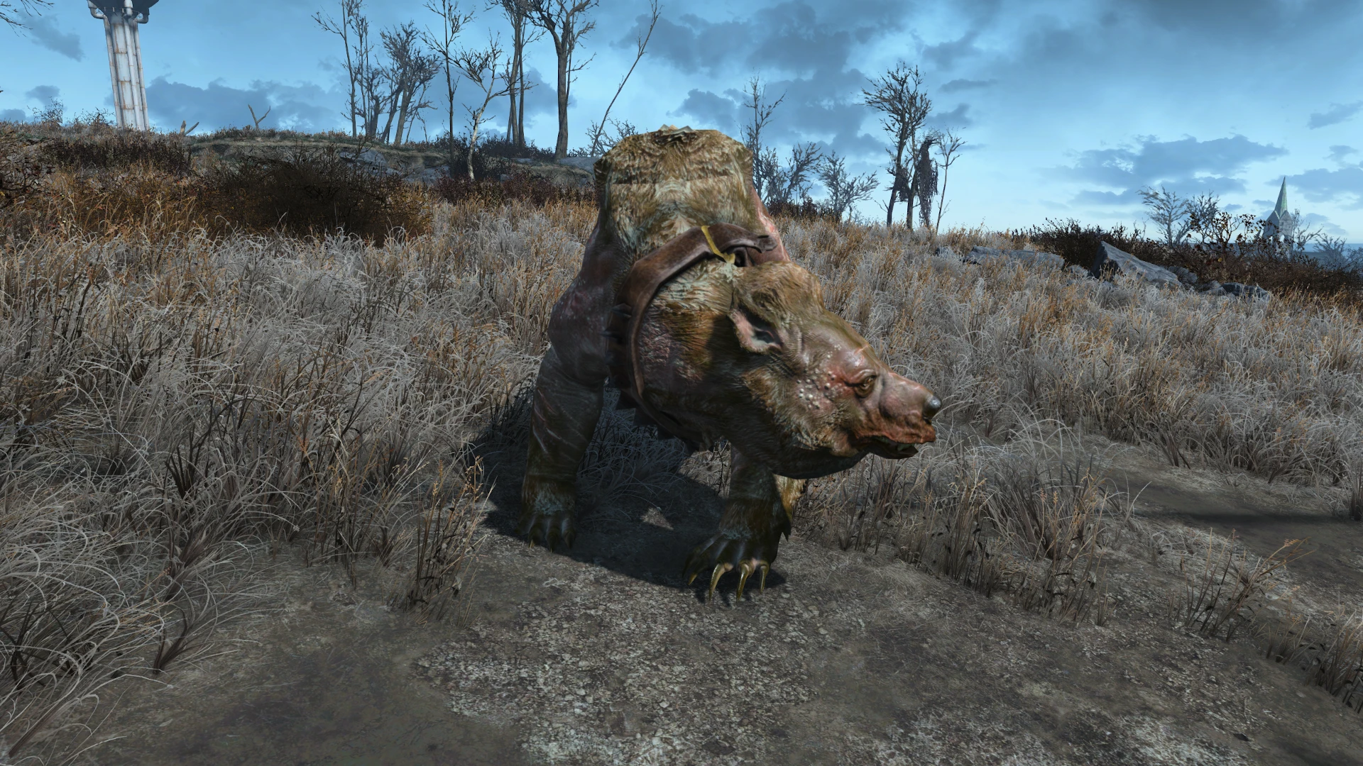 Fallout 4 волк компаньон фото 6