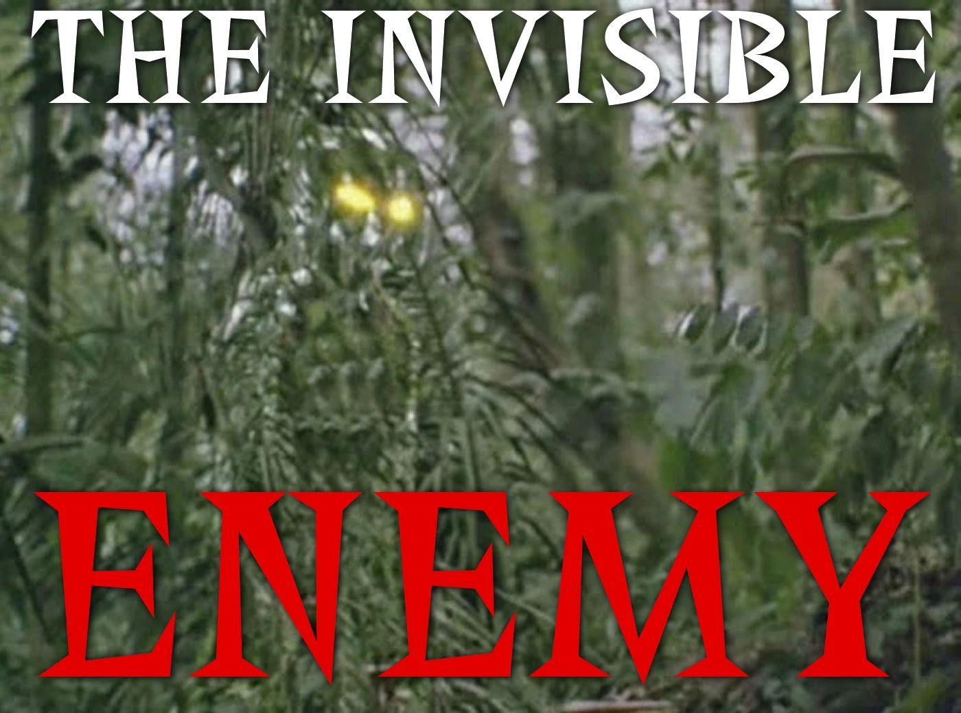 The Invisible Enemy at Fallout 4 Nexus - Mods and community