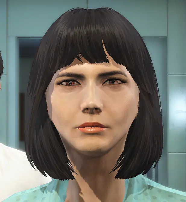 Asian Shi inspired Presets for Looksmenu at Fallout 4 Nexus - Mods and ...