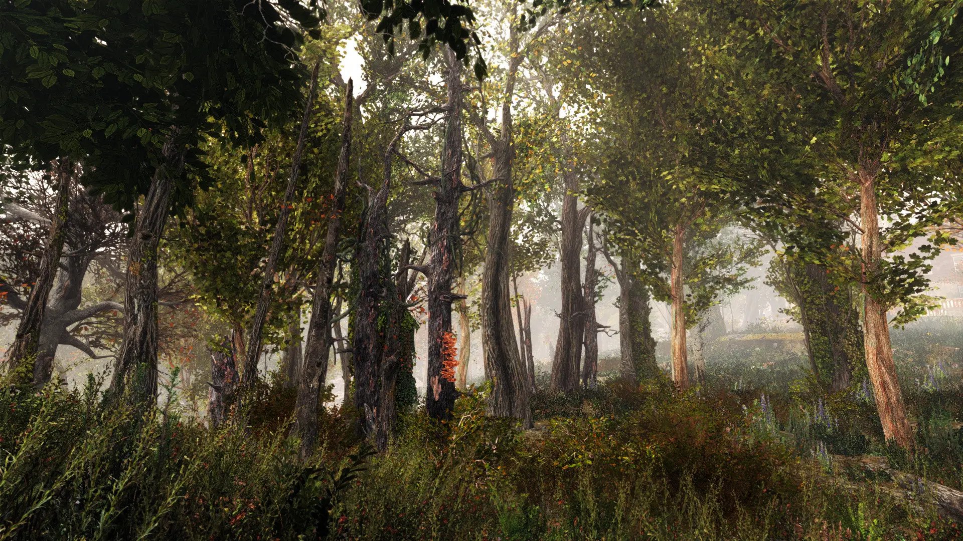 A Forest at Fallout 4 Nexus - Mods and community