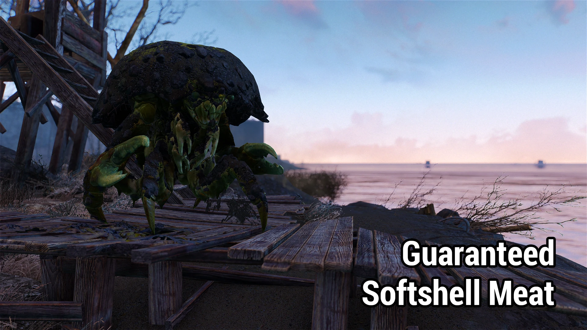 Guaranteed Softshell Meat at Fallout 4 Nexus - Mods and community