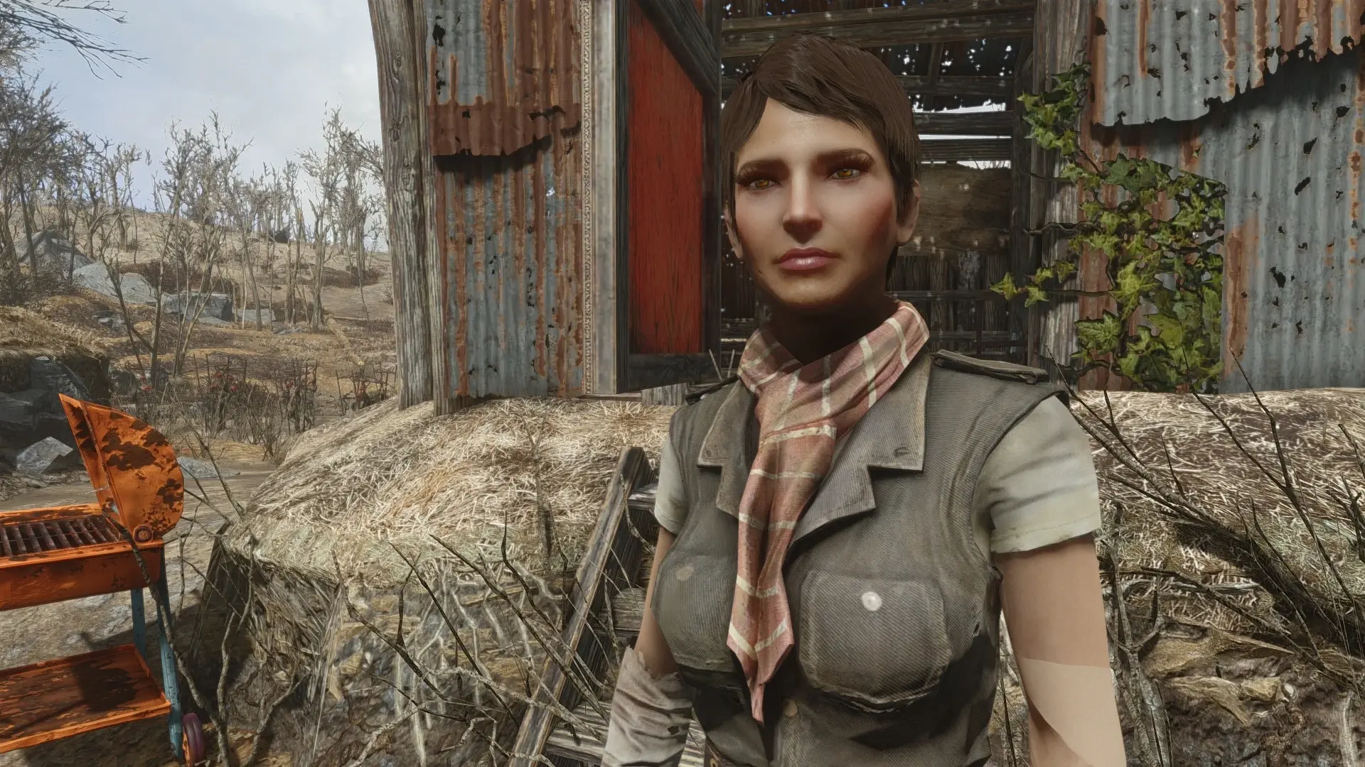 Eight Companions At Fallout 4 Nexus Mods And Community   47550 1707144318 110964523 