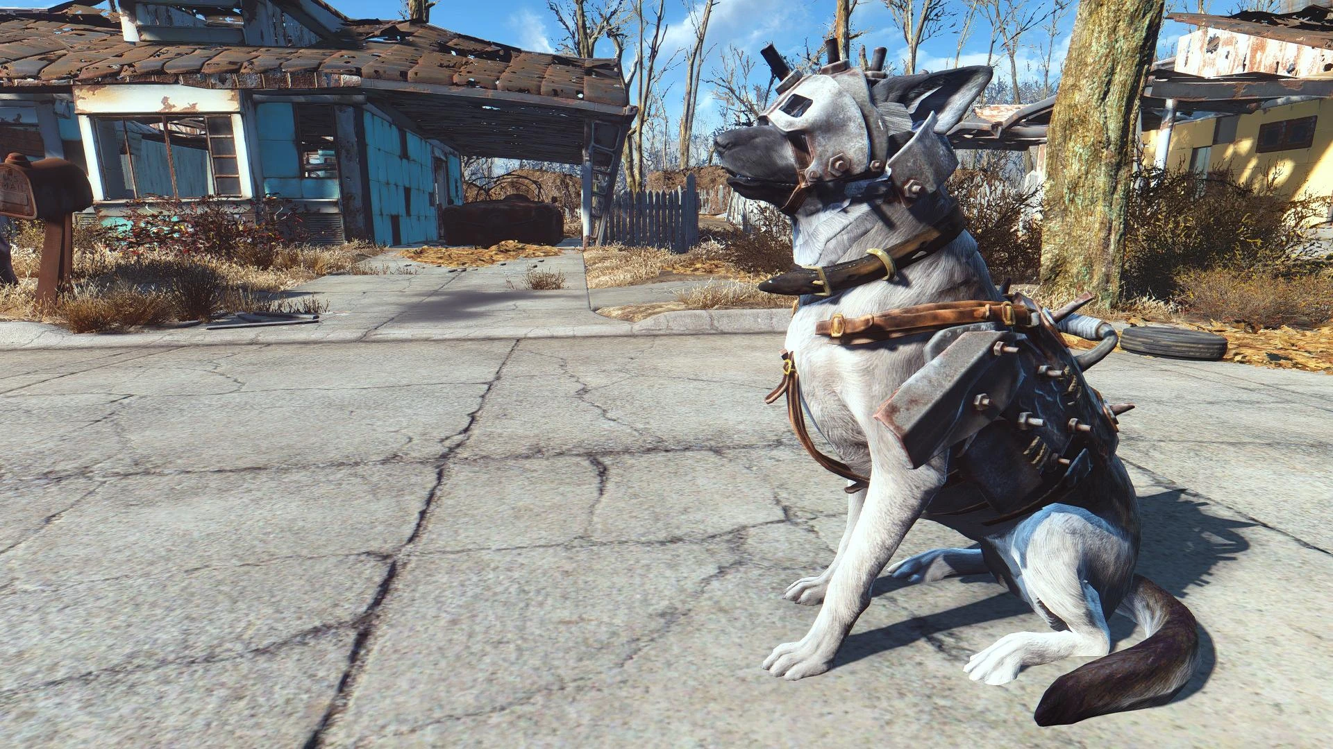 Fallout 4 отпустил собаку где она фото 28