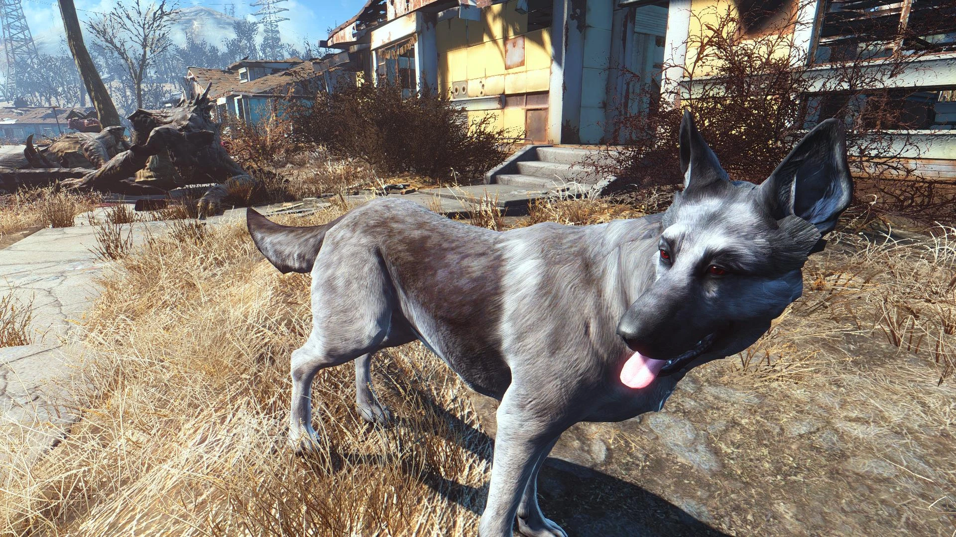 Fallout 4 спарки собака фото 103