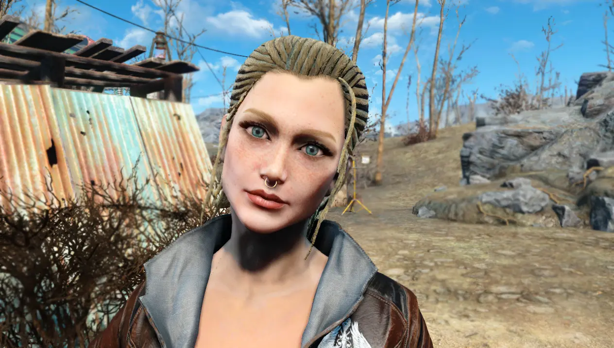 Random preset 4 at Fallout 4 Nexus - Mods and community