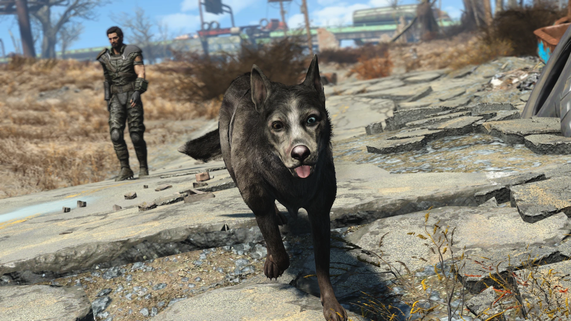 Chinese - Capital Wasteland Dogmeat at Fallout 4 Nexus - Mods and community