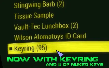 Image result for keyNuker fallout 4 mods