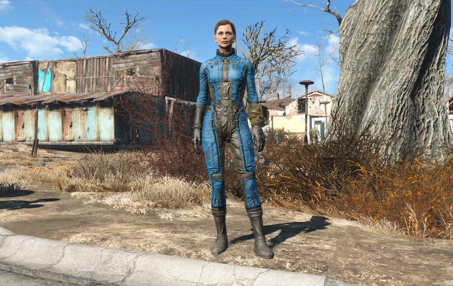 Cleaner BoS Uniform at Fallout 4 Nexus - Mods and community