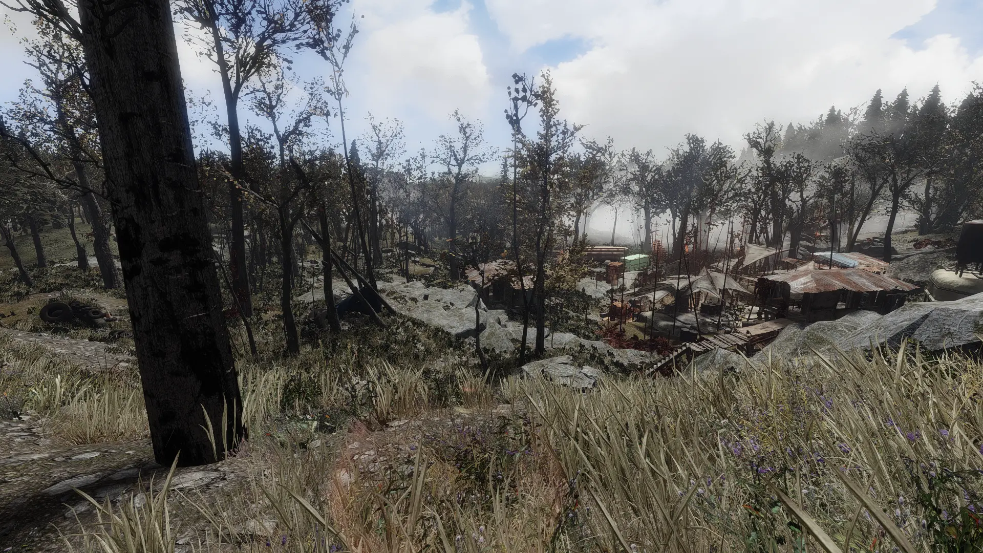 A Forest At Summers End At Fallout 4 Nexus - Mods And Community