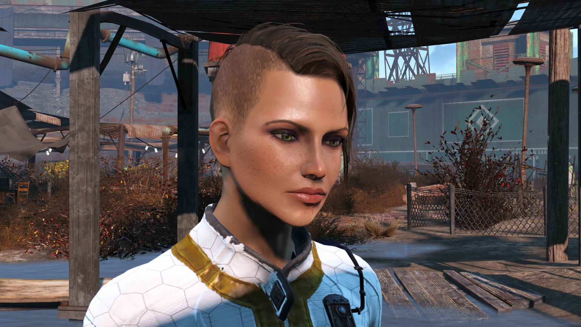 Fallout 4 черное лицо фото 1
