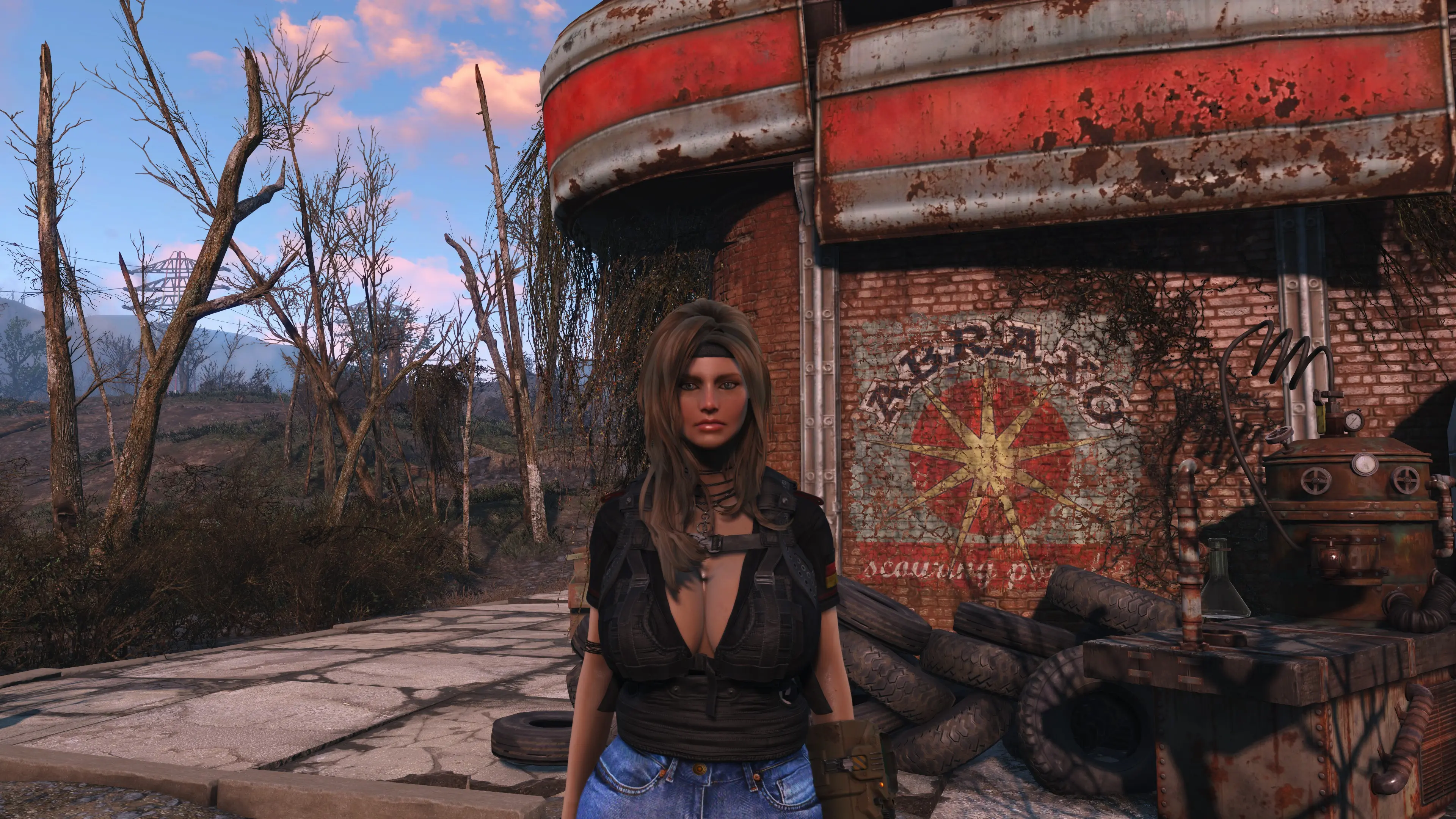 Such LooksMenu Preset at Fallout 4 Nexus - Mods and community