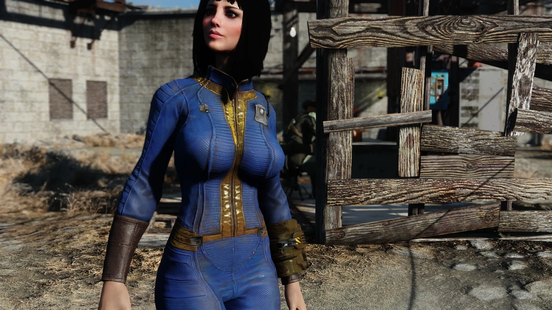 Fallout 4 Vault Meat Mod Peatix 