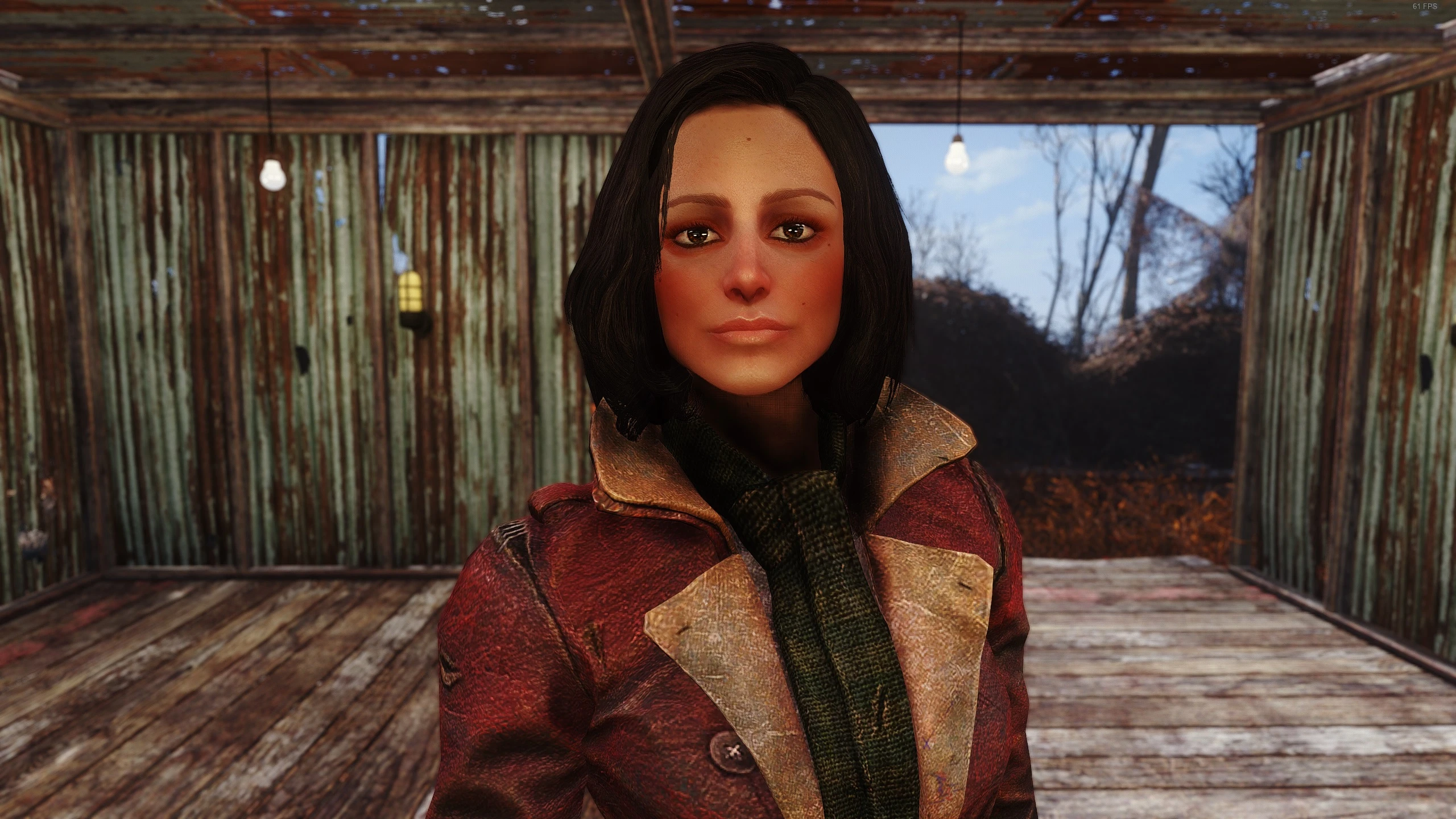 Fallout 4 brown face fix фото 66