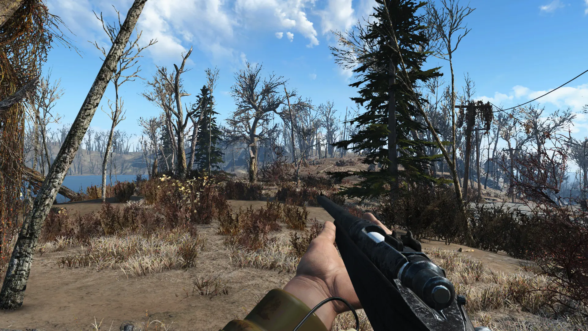 A Splash Of Pine Trees - Commonwealth Pine Tree Addon At Fallout 4 