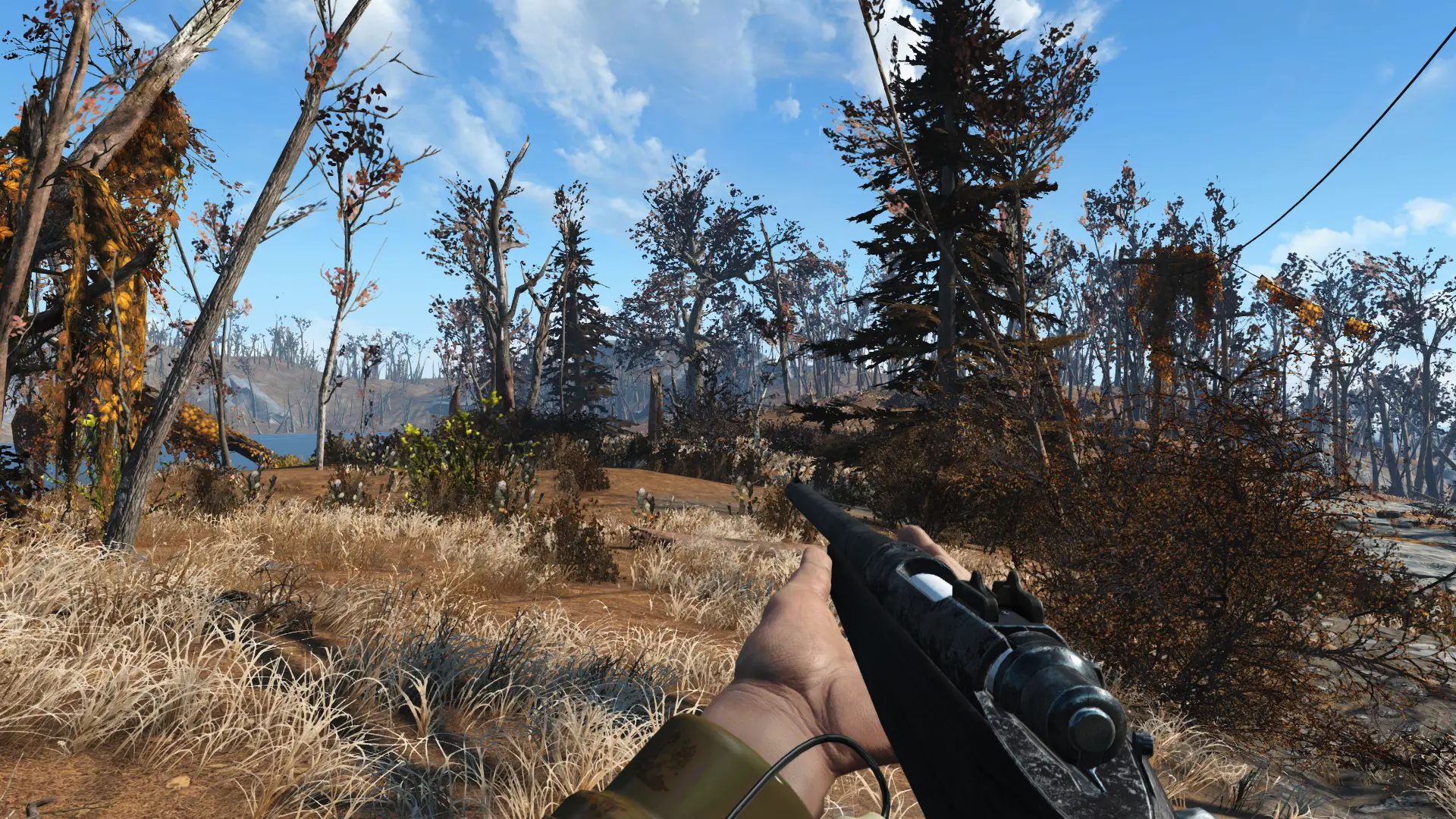 A Splash of Pine Trees - Commonwealth Pine Tree Addon at Fallout 4 ...