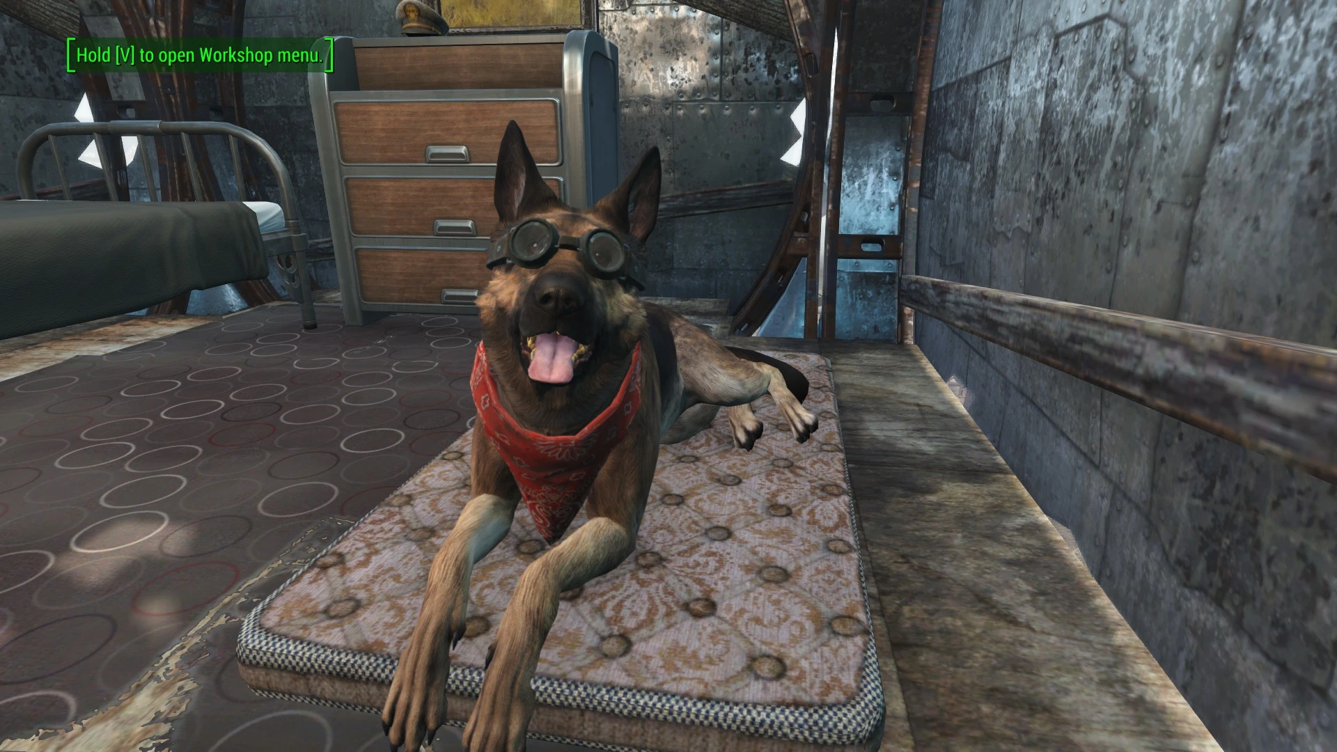 Fallout 4 бессмертие собаки фото 11