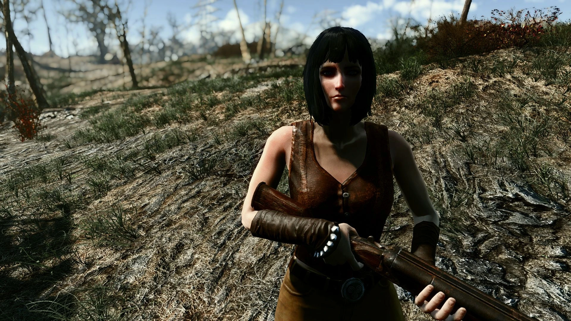 Fallout 4 wasteland edition фото 42
