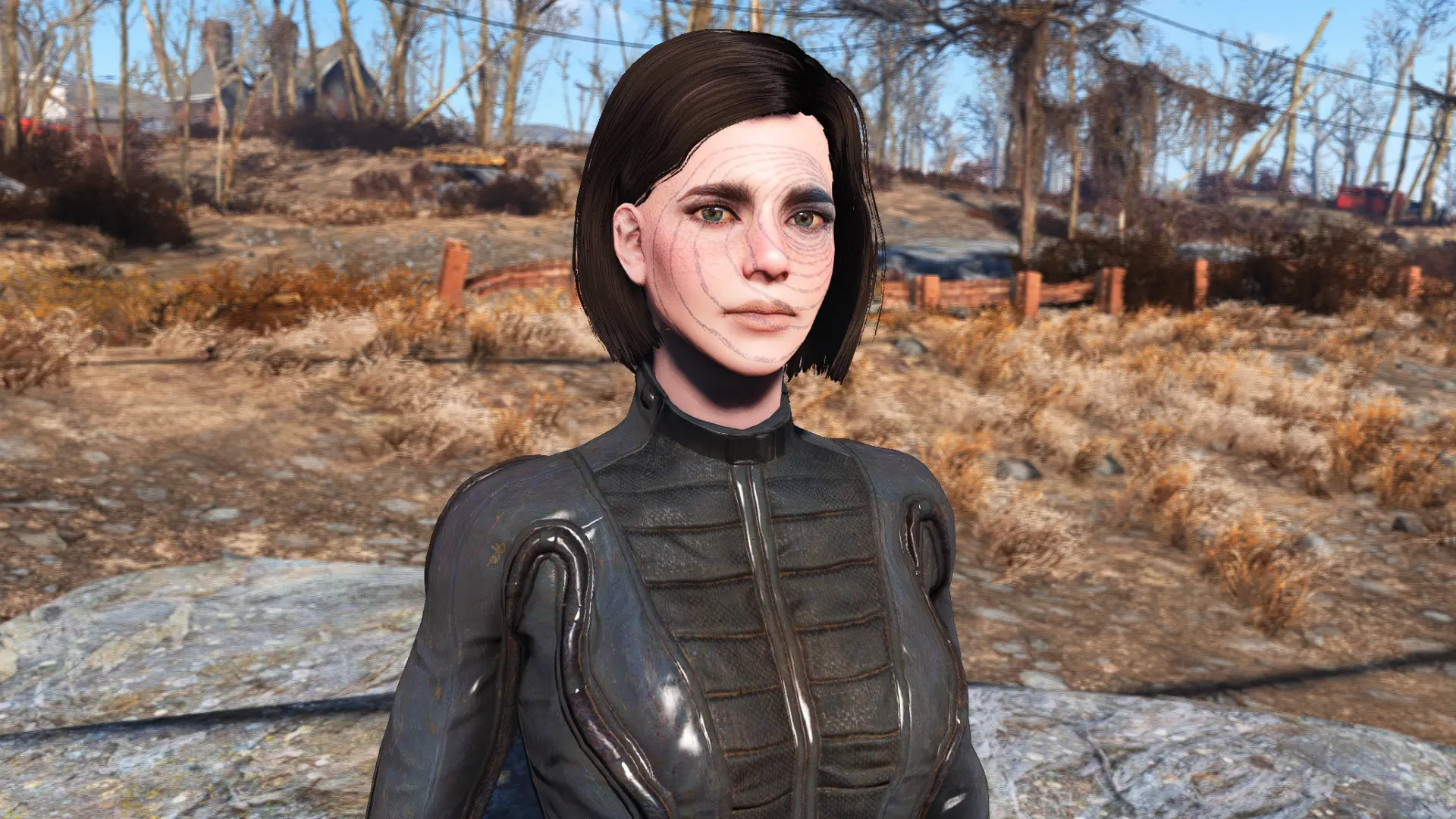 Radiance - A LooksMenu Preset at Fallout 4 Nexus - Mods and community