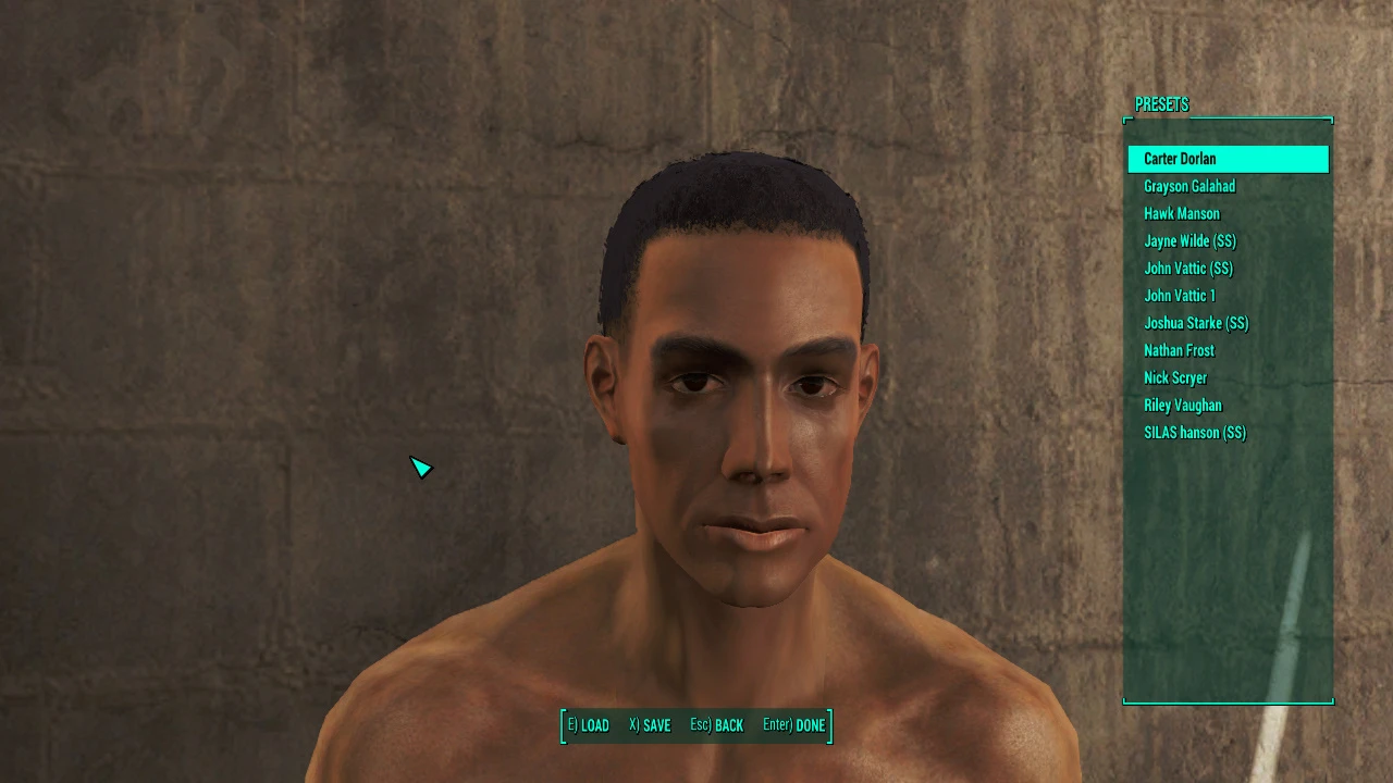 Companions of Fallout 3 and New Vegas - Presets at Fallout 4 Nexus