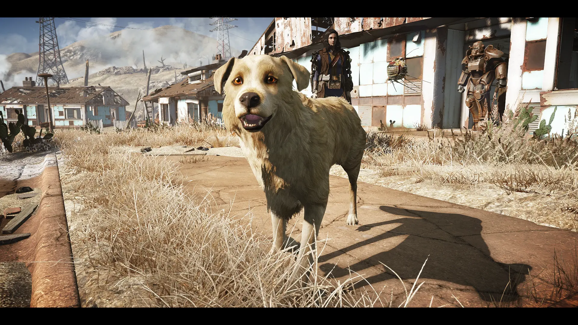 Tono Dogmeat replacer (Remplazo de Albondiga con Tono) at Fallout 4 ...