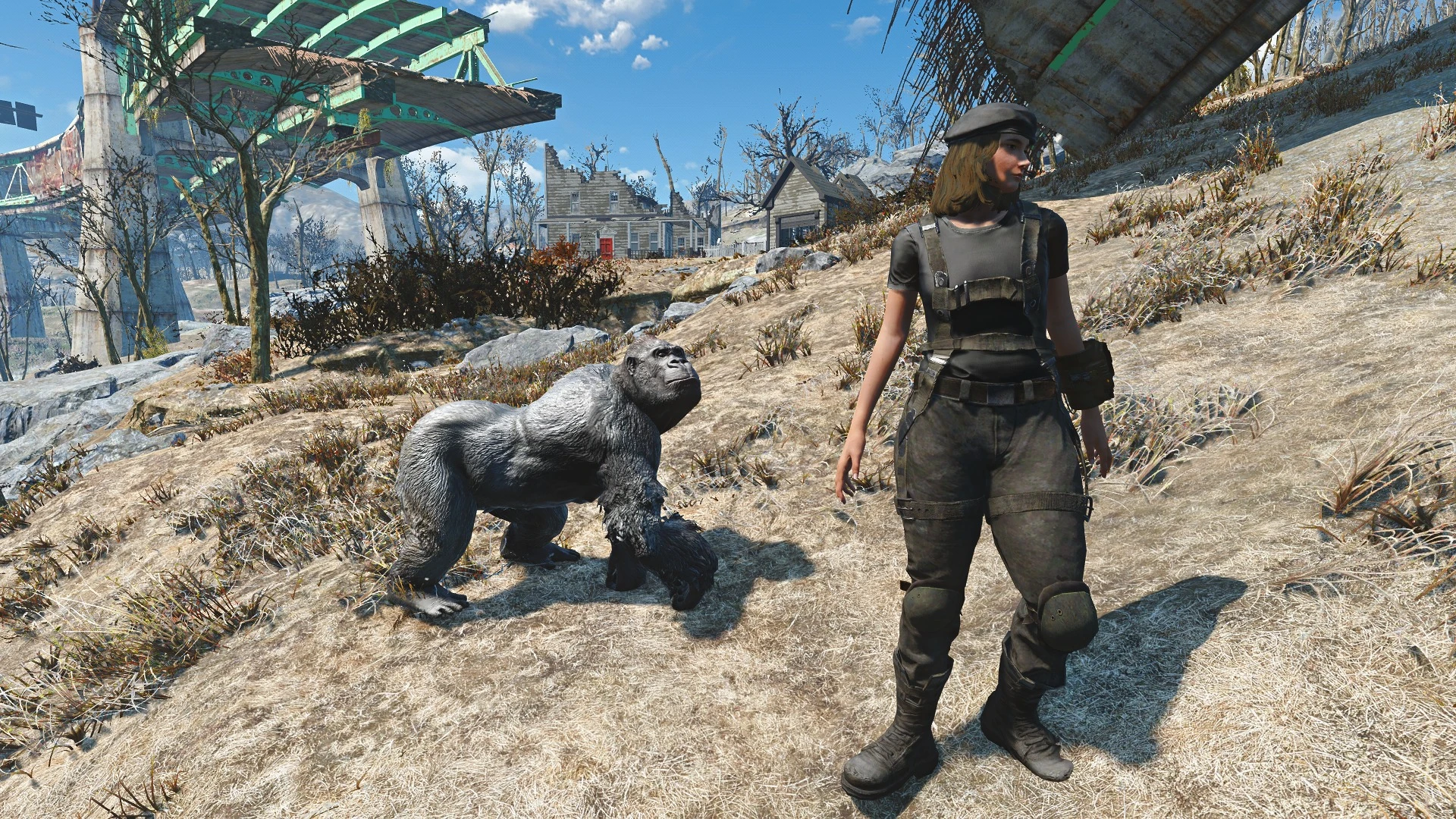 Gorilla Companion At Fallout 4 Nexus Mods And Community