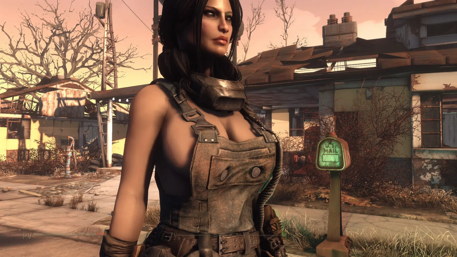 Cbbe для fallout 4 nexus фото 42