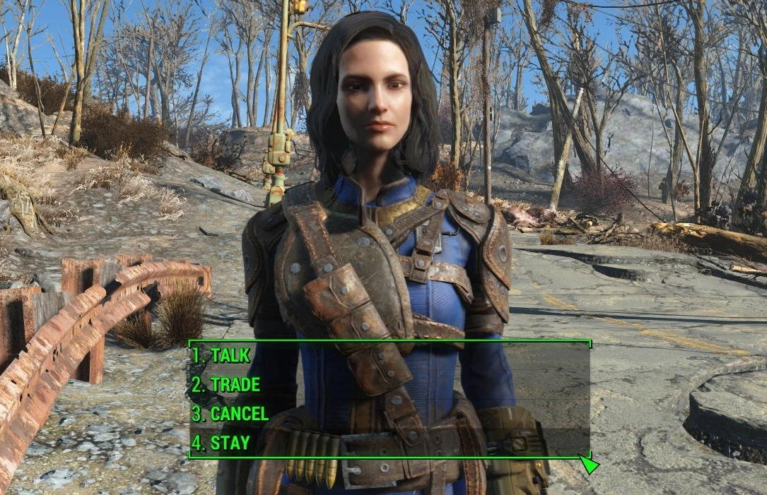 By far the most. Fallout 4 одежда Норы.