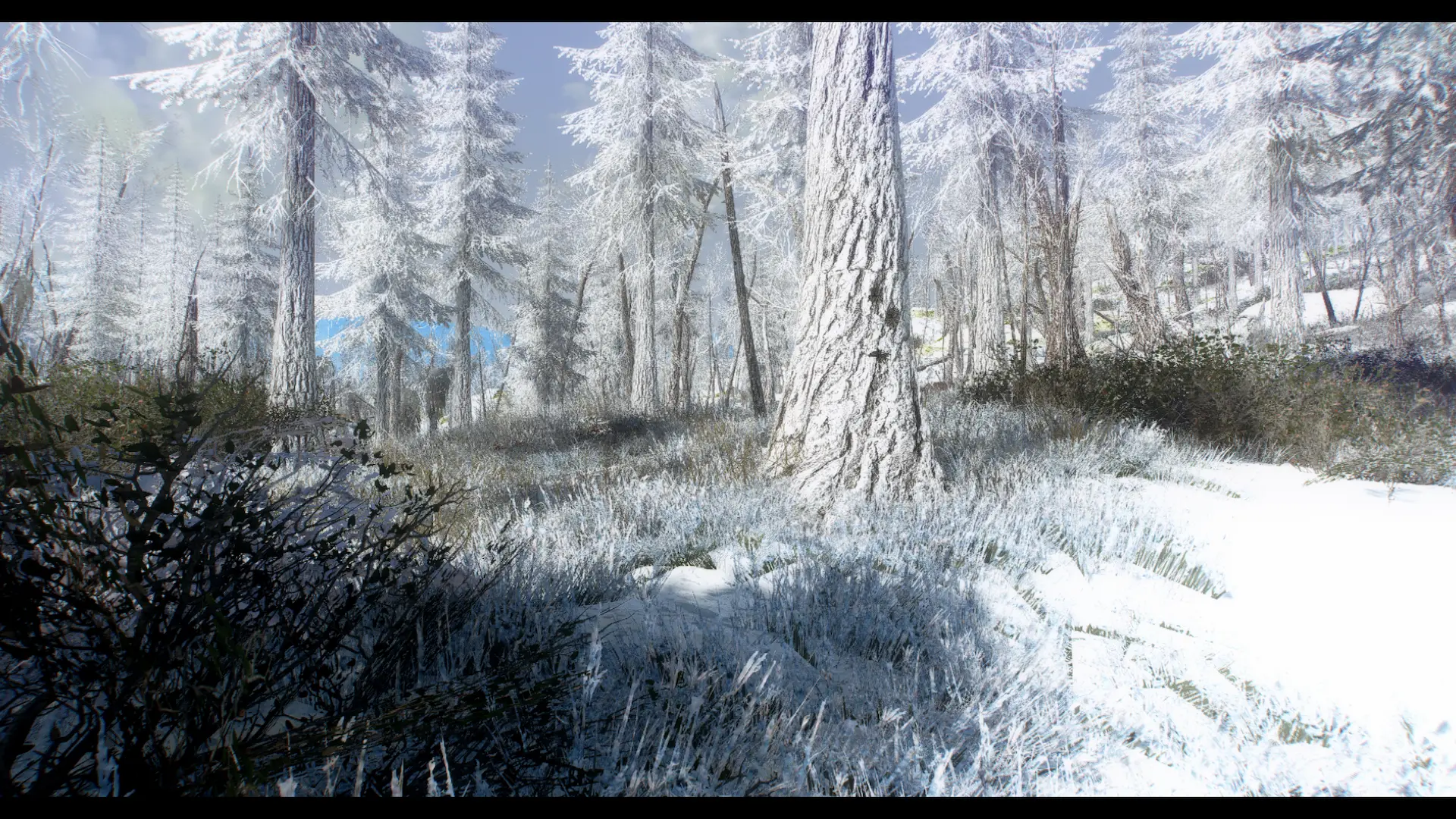 True Grass - Retextured Winter Edition at Fallout 4 Nexus - Mods and ...