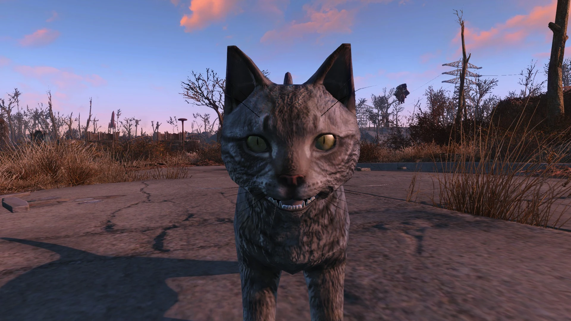 Fallout 4 окраска котов фото 61