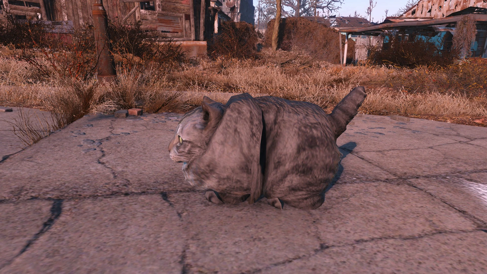 Fallout 4 окраска котов фото 29