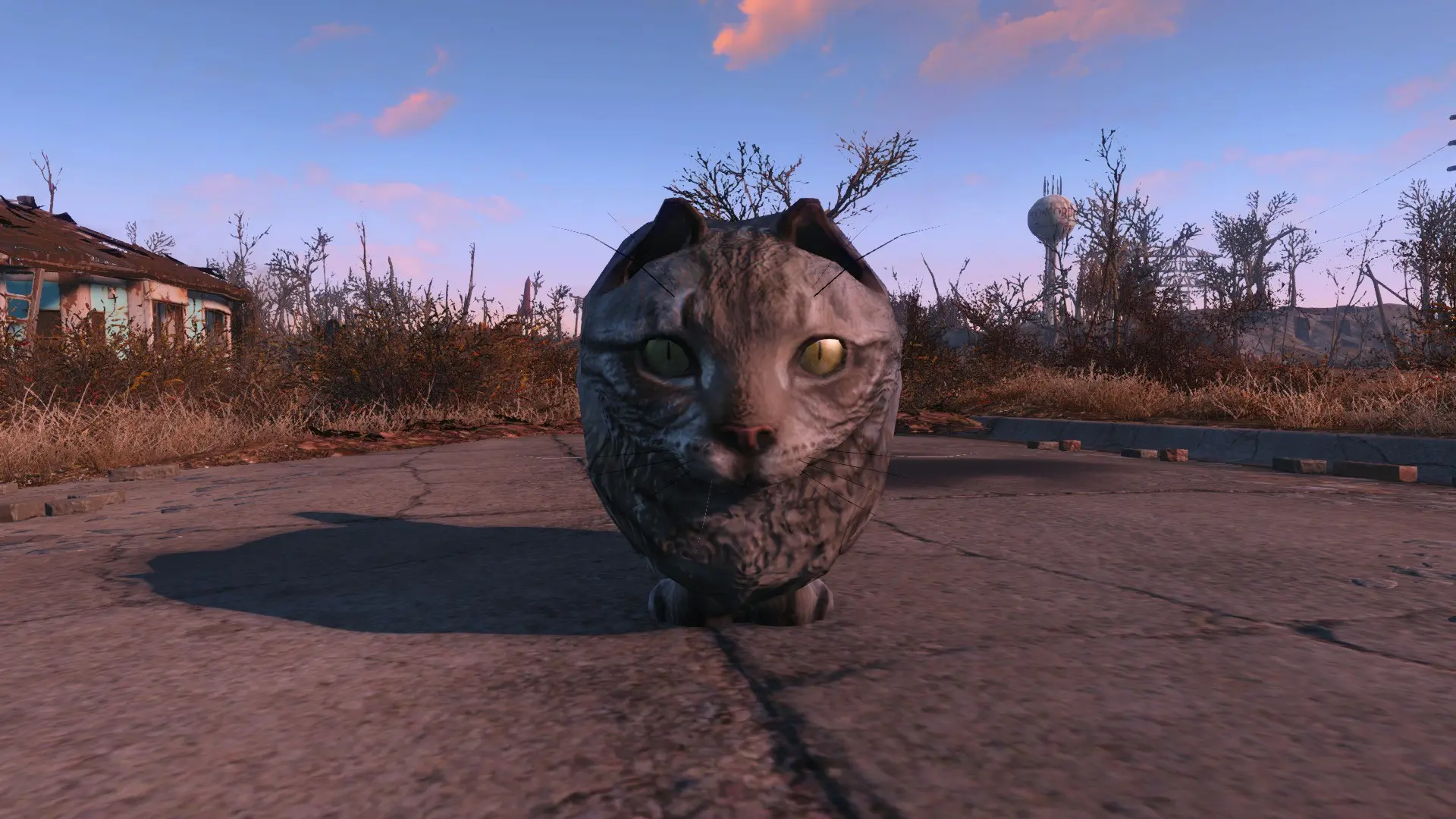 fallout 4 cat mod