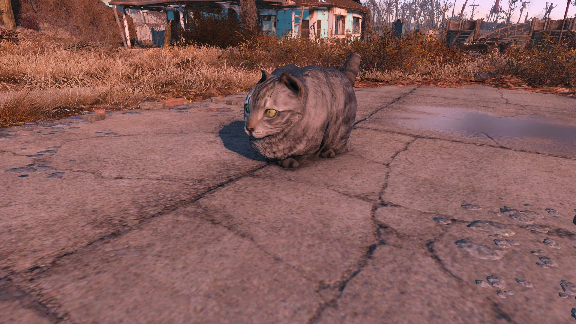 Fallout 4 псина баг фото 26