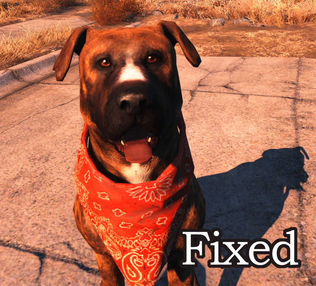 fallout 4 dogmeat companion mod