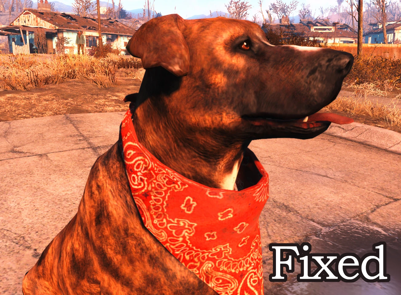 Fallout 4 dogmeat no фото 67