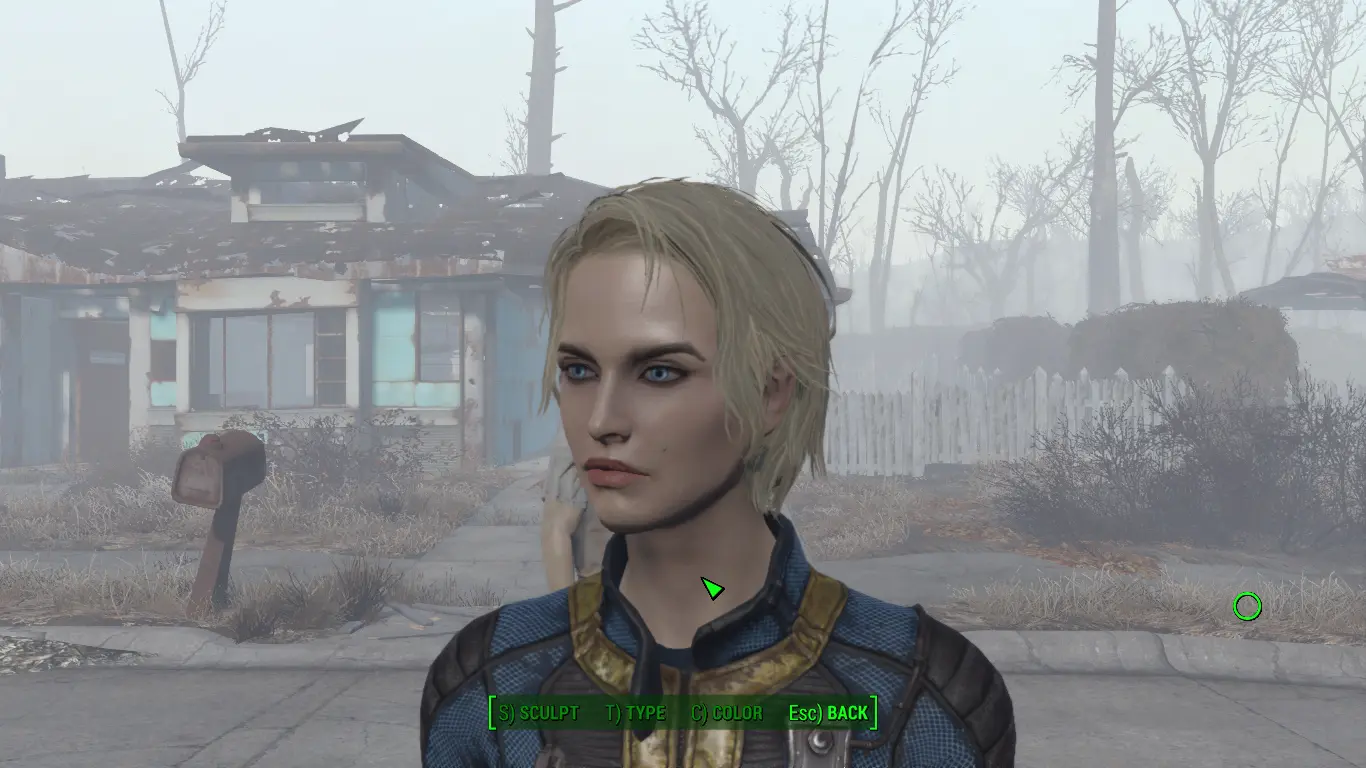 Classic Beauty Evelyn at Fallout 4 Nexus - Mods and community